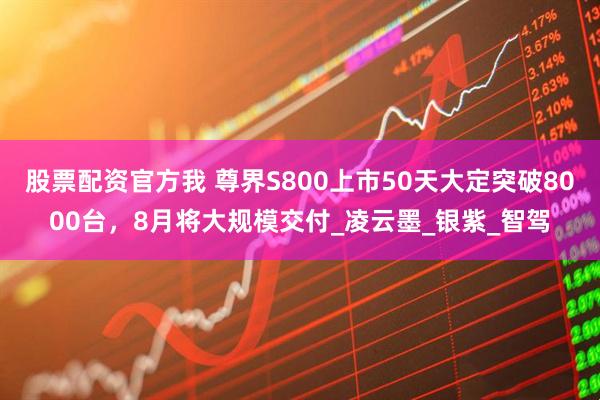 股票配资官方我 尊界S800上市50天大定突破8000台，8月将大规模交付_凌云墨_银紫_智驾
