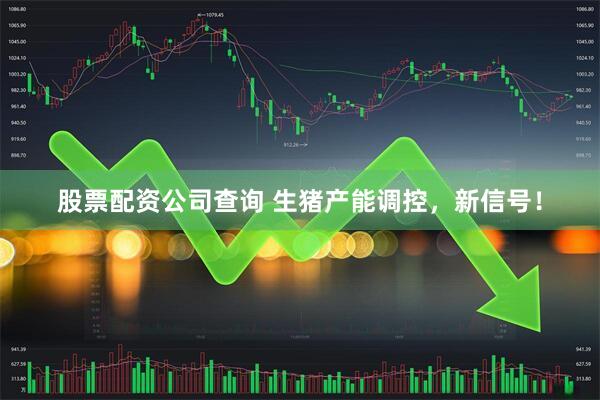 股票配资公司查询 生猪产能调控，新信号！